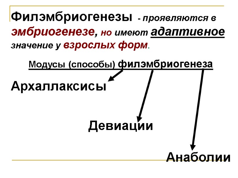 Филэмбриогенезы - проявляются в эмбриогенезе, но имеют адаптивное значение у взрослых форм. Модусы (способы) Филэмбриогенезы - проявляются в эмбриогенезе, но имеют адаптивное значение у взрослых форм. Модусы (способы)